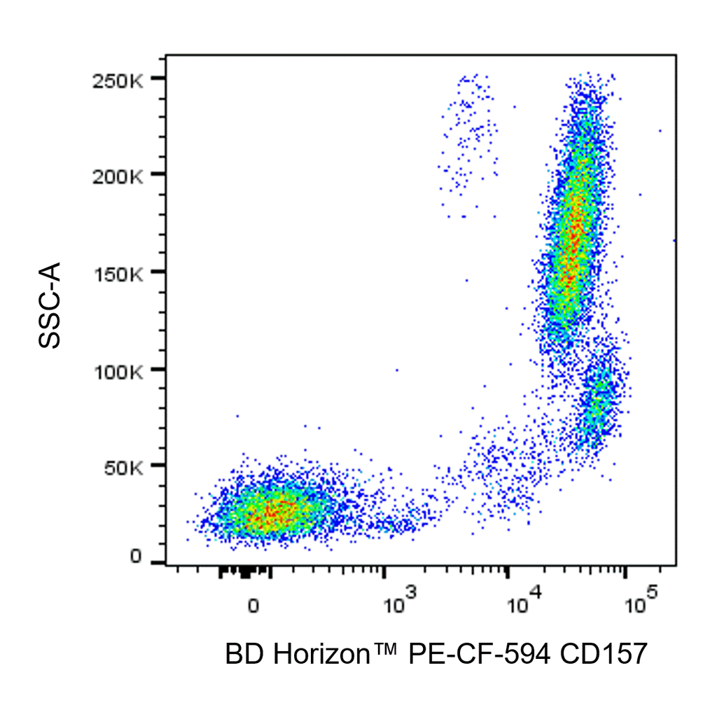 BD PE-CF594 Mouse Anti-Human CD157