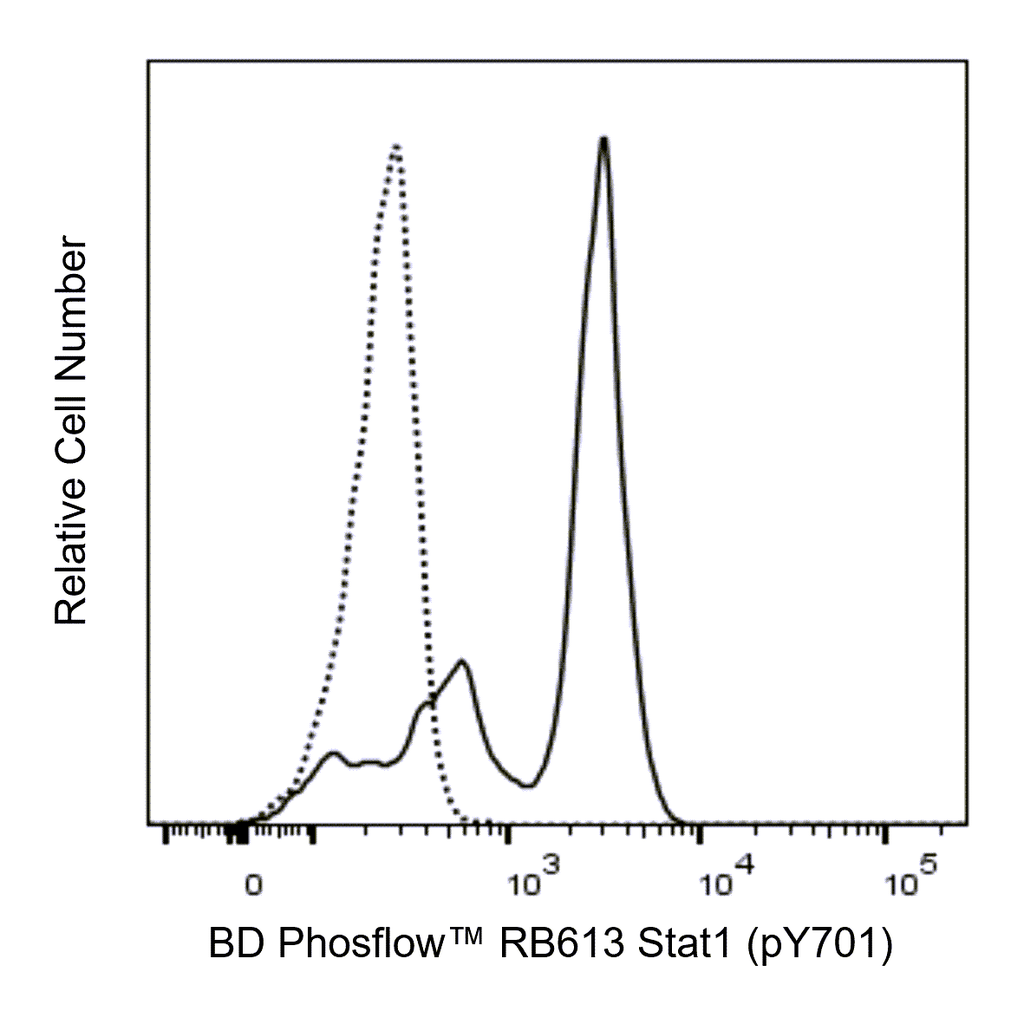 BD RB613 Mouse Anti-Stat1 (pY701)