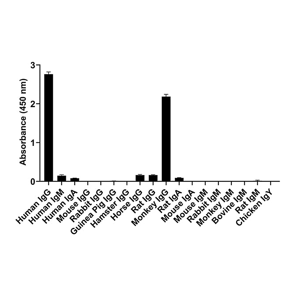Thermo Fisher Scientific Goat anti-Human IgG (Heavy Chain) Superclonal Secondary Antibody, Alexa Fluor Plus 488