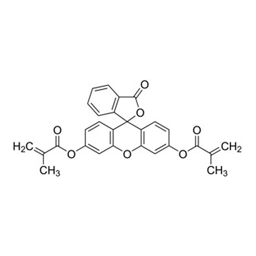 Merck FLUORESCEIN O,O``-DIMETHACRYLATE, 95%
