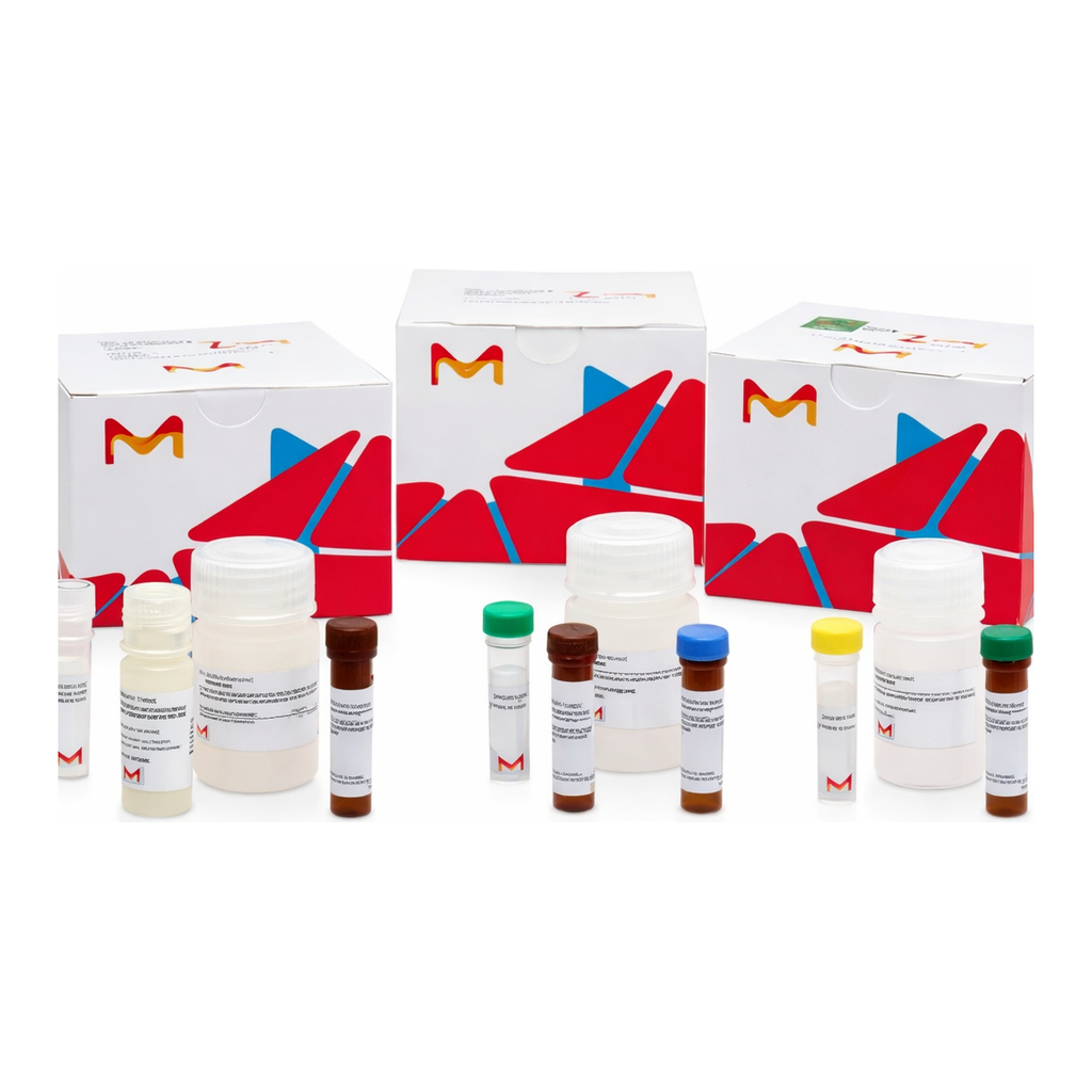 Merck alpha-L-Fucosidase Assay Kit
