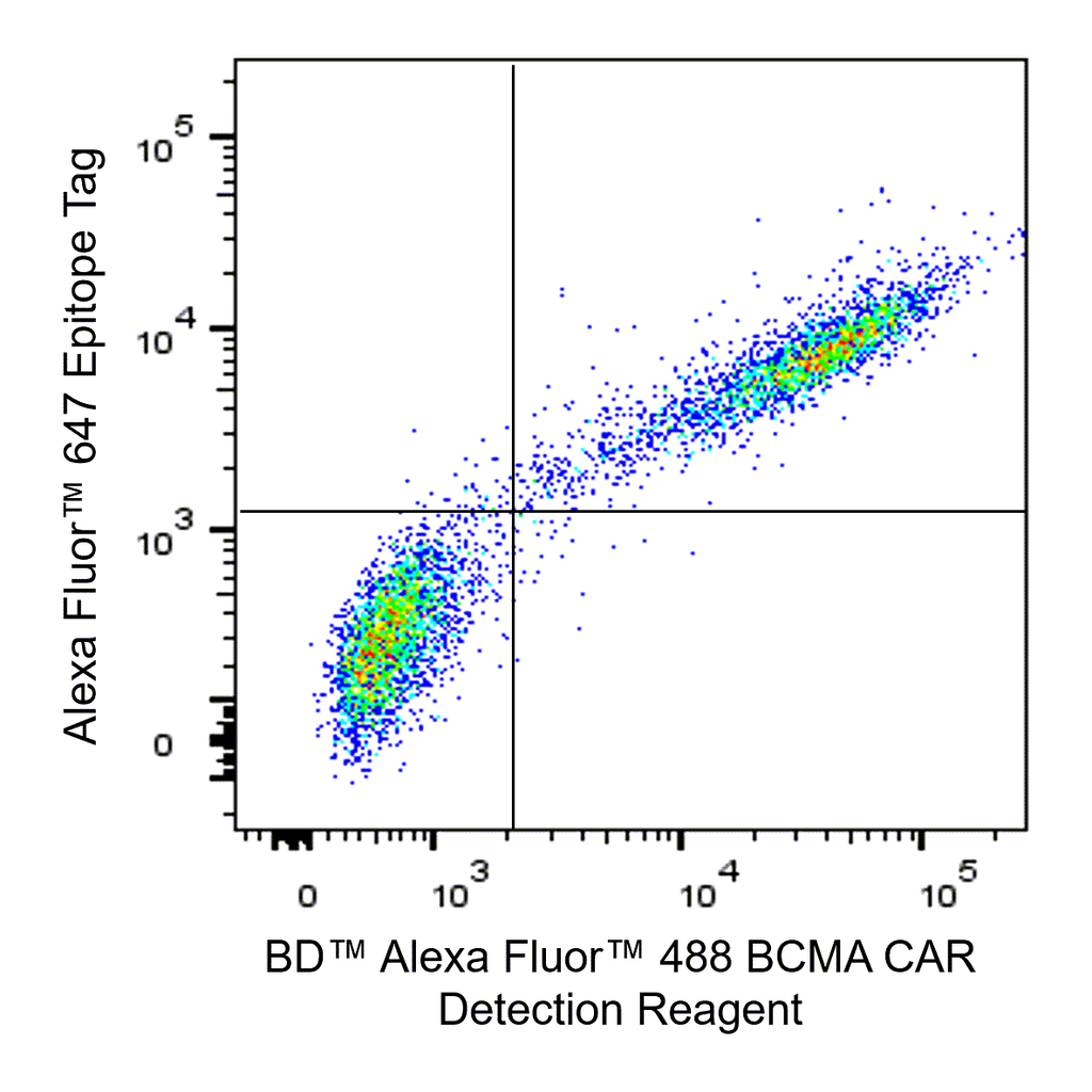 BD Alexa Fluor 488 BCMA CAR Detection Reagent