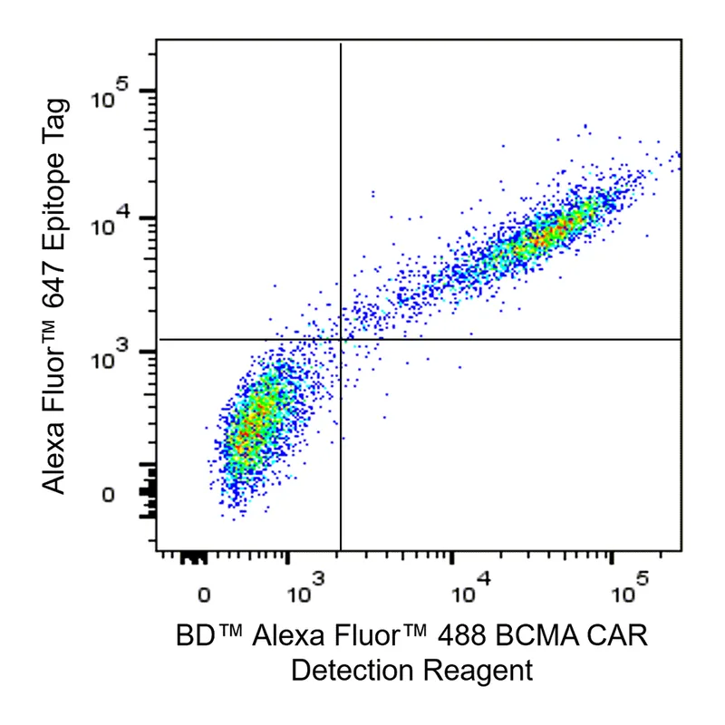 BD Alexa Fluor 488 BCMA CAR Detection Reagent