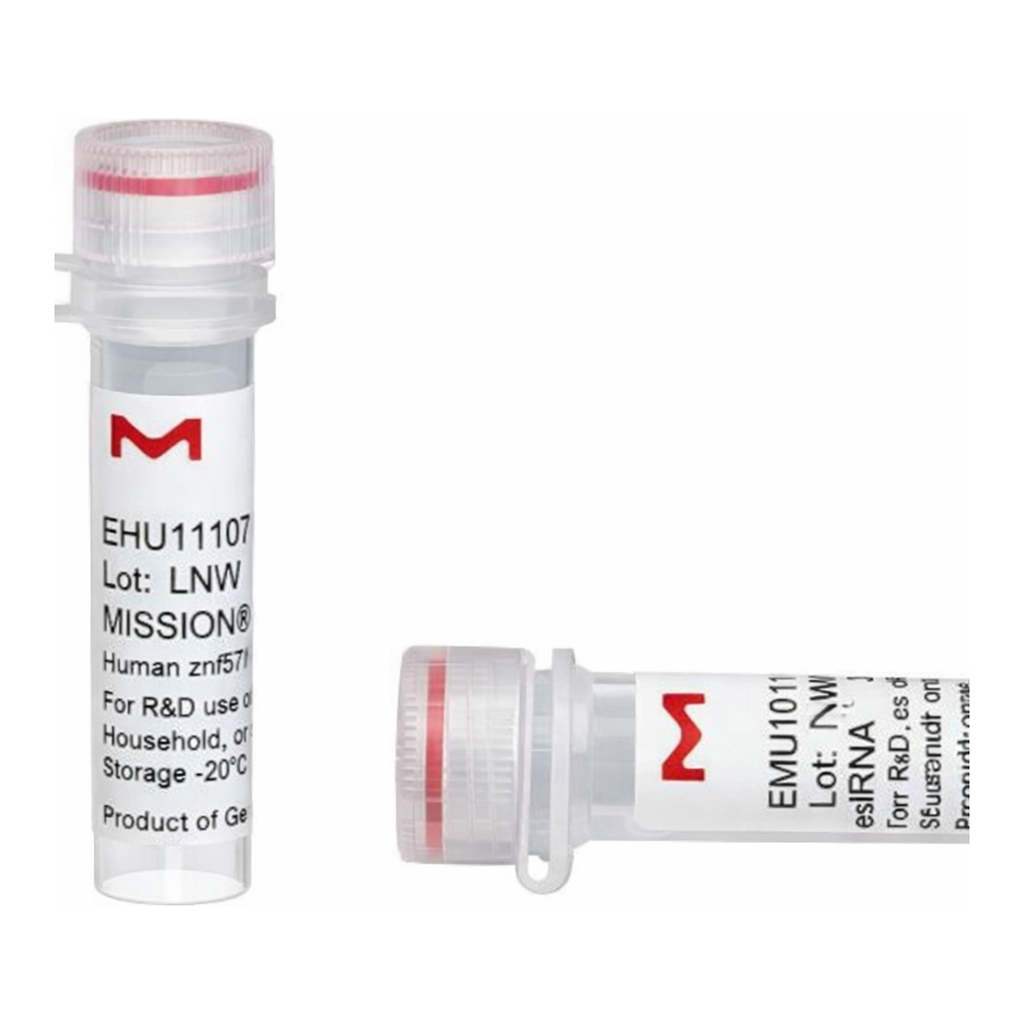 Merck MISSION(R) esiRNA