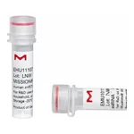Merck MISSION(R) esiRNA