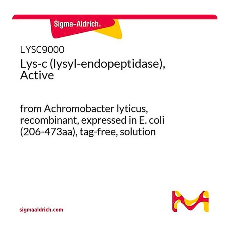 Merck Lys-c (lysyl-endopeptidase), Active