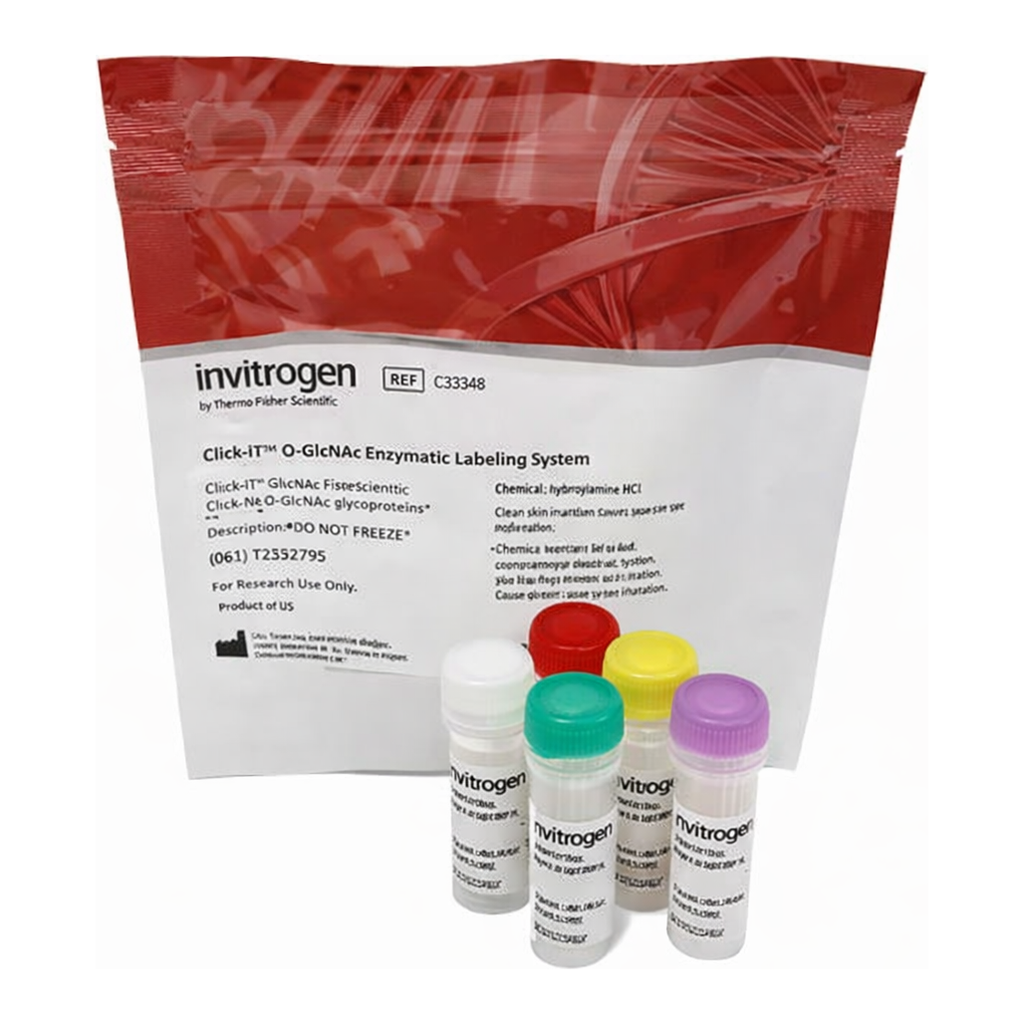 Thermo Fisher Scientific Click-IT O-GlcNAc Enzymatic Labeling System