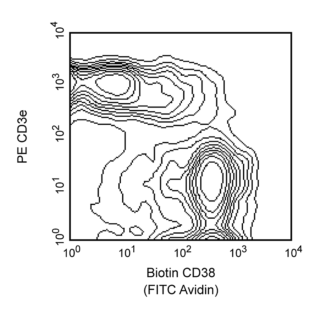 BD Biotin Rat Anti-Mouse CD38