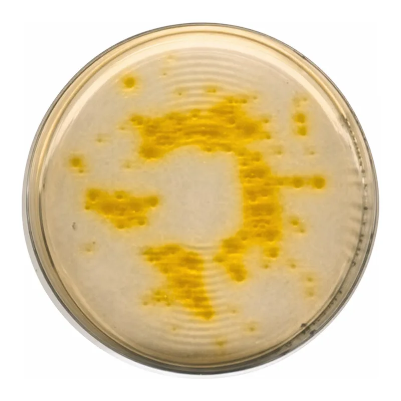 Merck Cetrimide Agar