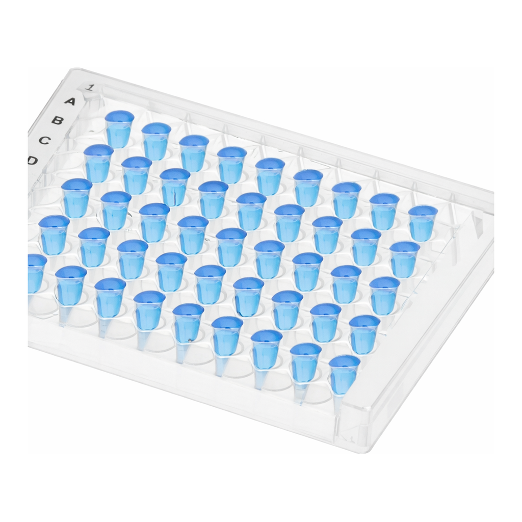 Thermo Fisher Scientific ABsolute Blue QPCR Mix, SYBR Green, ROX, 1,600 reactions