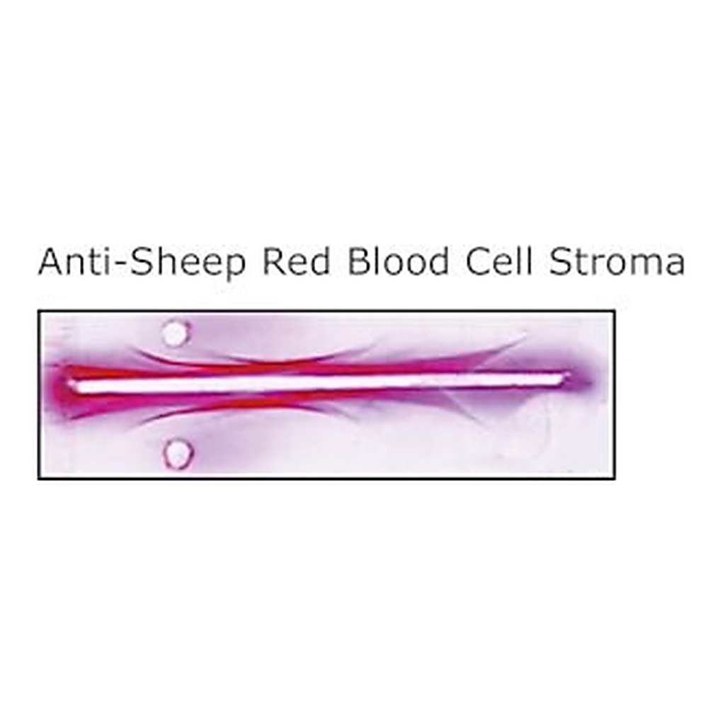 Merck RABBIT ANTI-SHEEP RED BLOOD CELL STROMA&