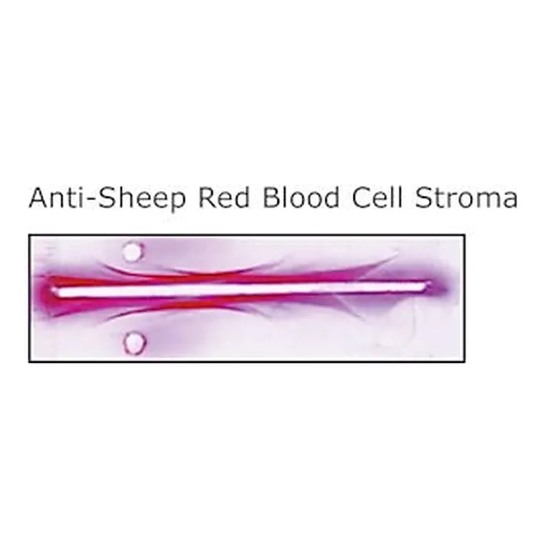 Merck RABBIT ANTI-SHEEP RED BLOOD CELL STROMA&
