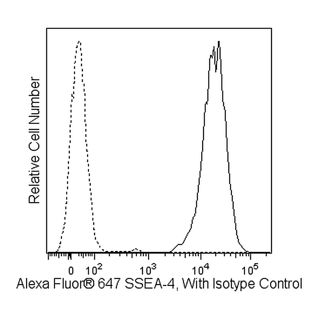 BD Alexa Fluor® 647 Mouse anti-SSEA-4
