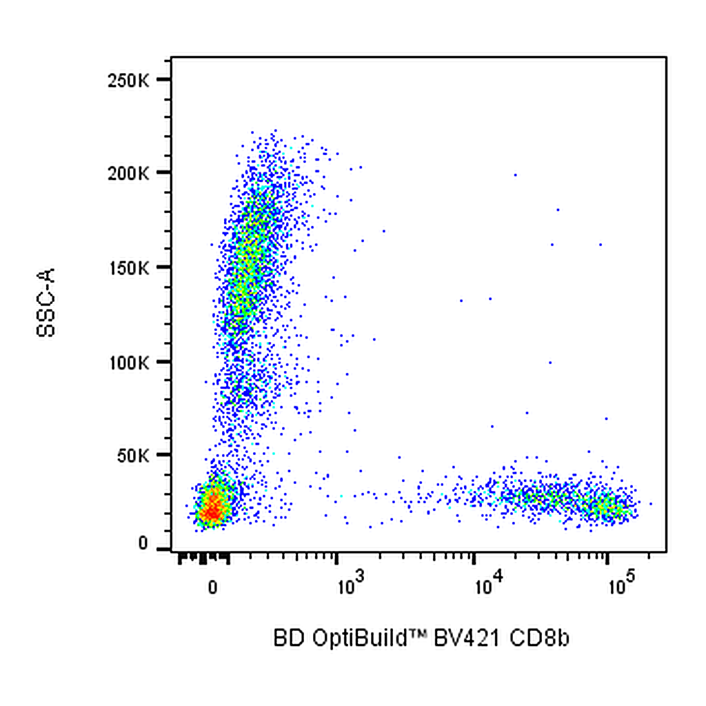 BD BV421 Mouse Anti-Human CD8b
