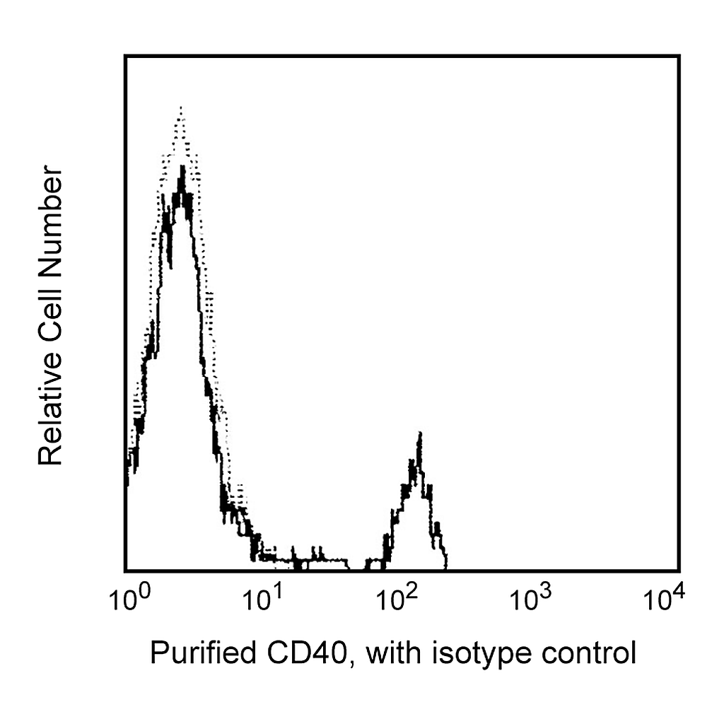 BD Purified Mouse Anti-Human CD40