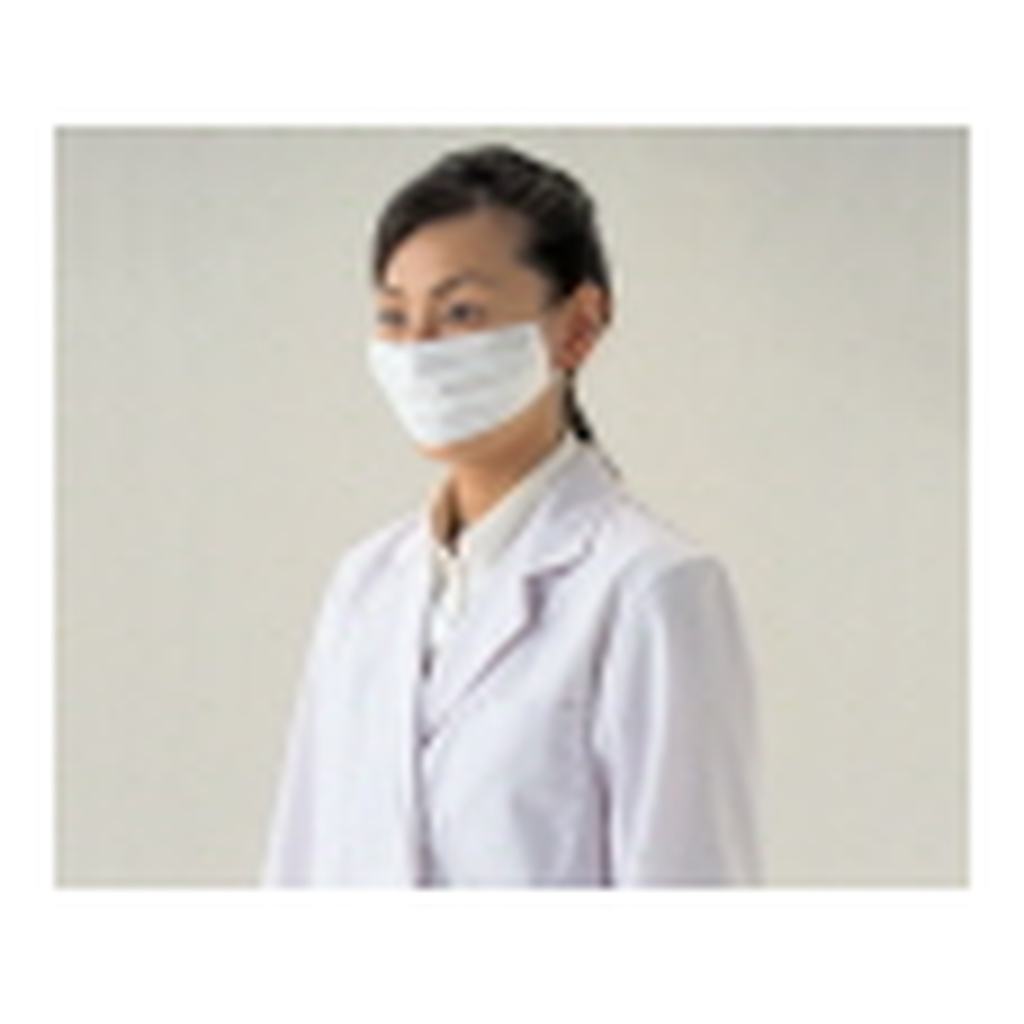 AS ONE 2Ply Disposable Mask, 2ply마스크