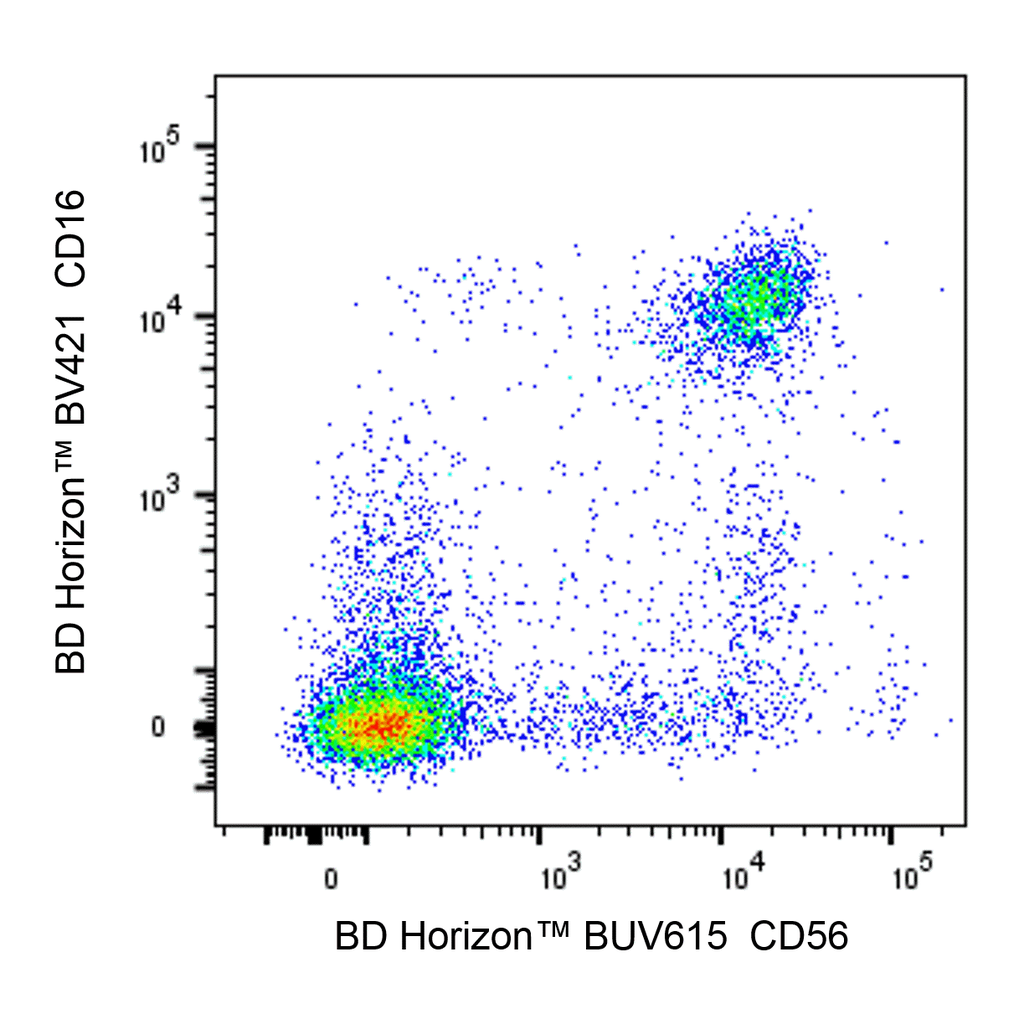 BD BUV615 Mouse Anti-Human CD56