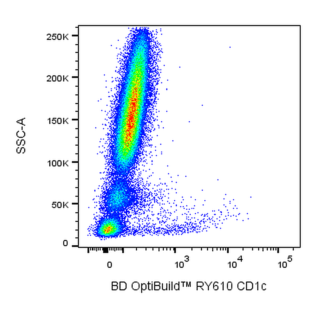 BD RY610 Mouse Anti-Human CD1c