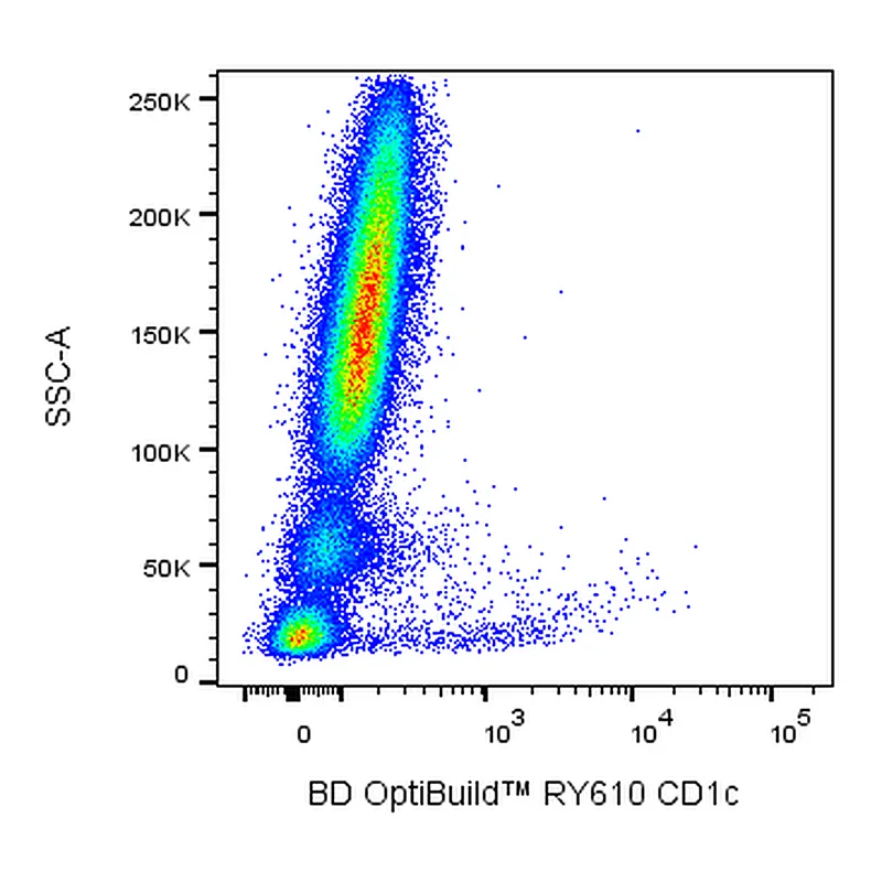 BD RY610 Mouse Anti-Human CD1c
