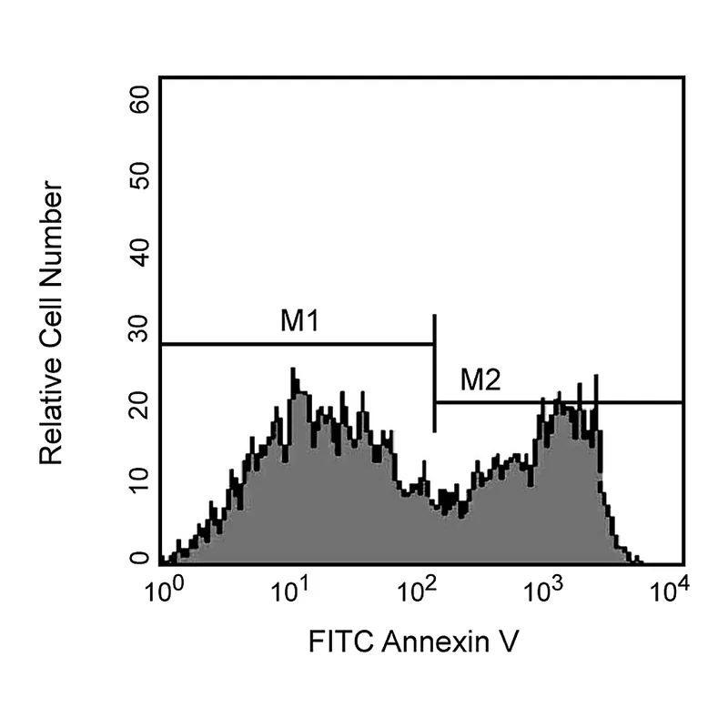 BD FITC Annexin V Apoptosis Detection Kit I