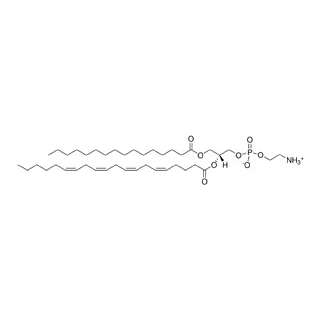 Merck 16:0-20:4 PE