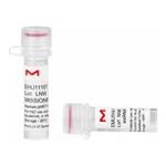 Merck MISSION(R) esiRNA