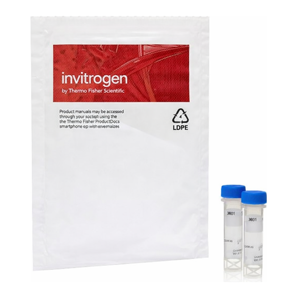 Thermo Fisher Scientific FluoroMyelin Green Fluorescent Myelin Stain - Solution in Water
