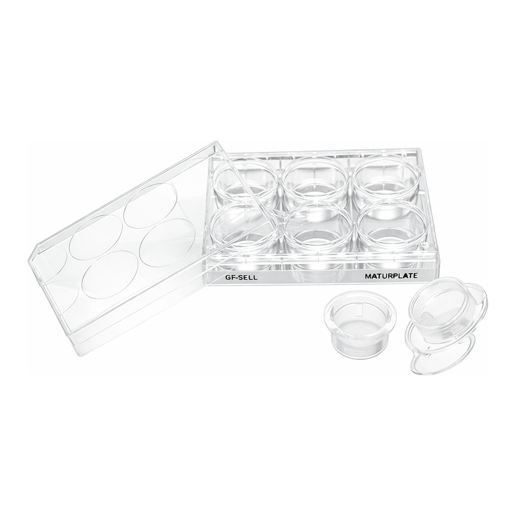 LABSELECT Cell culture insert translucent PC membrane