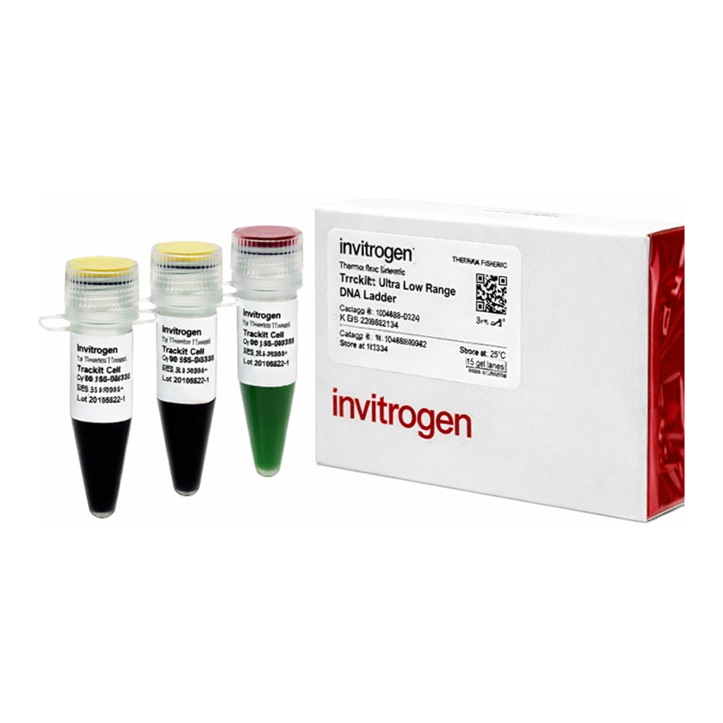 Thermo Fisher Scientific TrackIt Ultra Low Range DNA Ladder