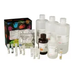 Thermo Fisher Scientific LightShift Chemiluminescent RNA EMSA Kit