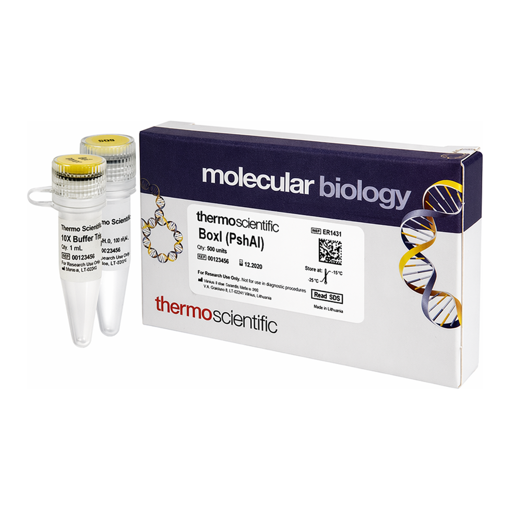 Thermo Fisher Scientific BoxI (PshAI) (10 U/&mu;L)