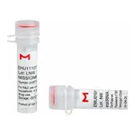 Merck MISSION(R) esiRNA