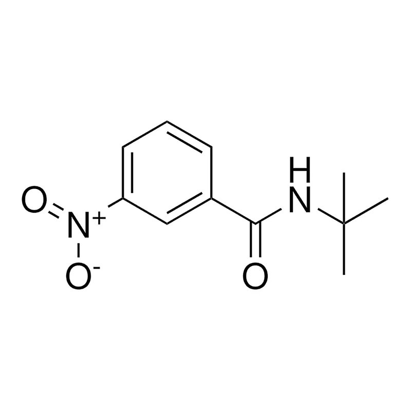 Merck N-(TERT-BUTYL)-3-NITROBENZAMIDE-