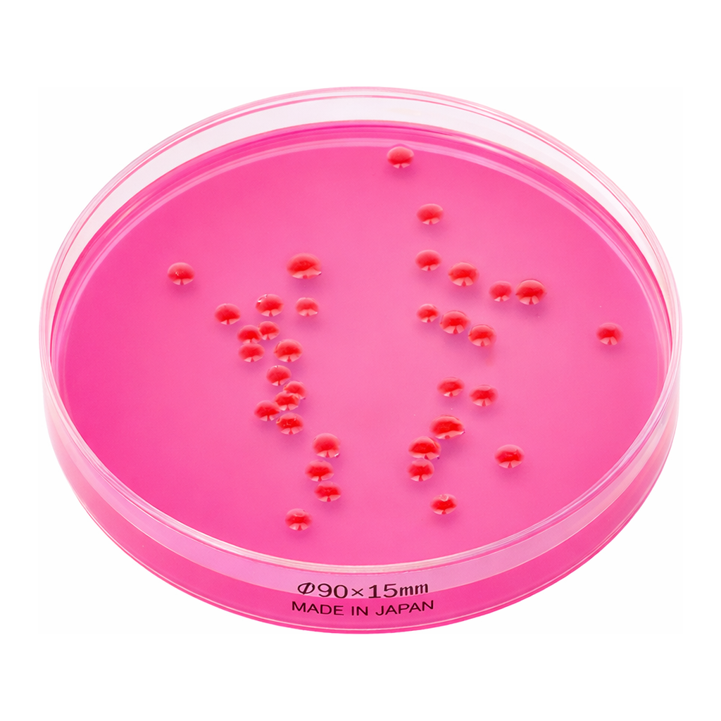 Merck Dichloran Rose bengal Agar (Base)NutriS&