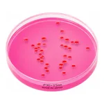 Merck Dichloran Rose bengal Agar (Base)NutriS&