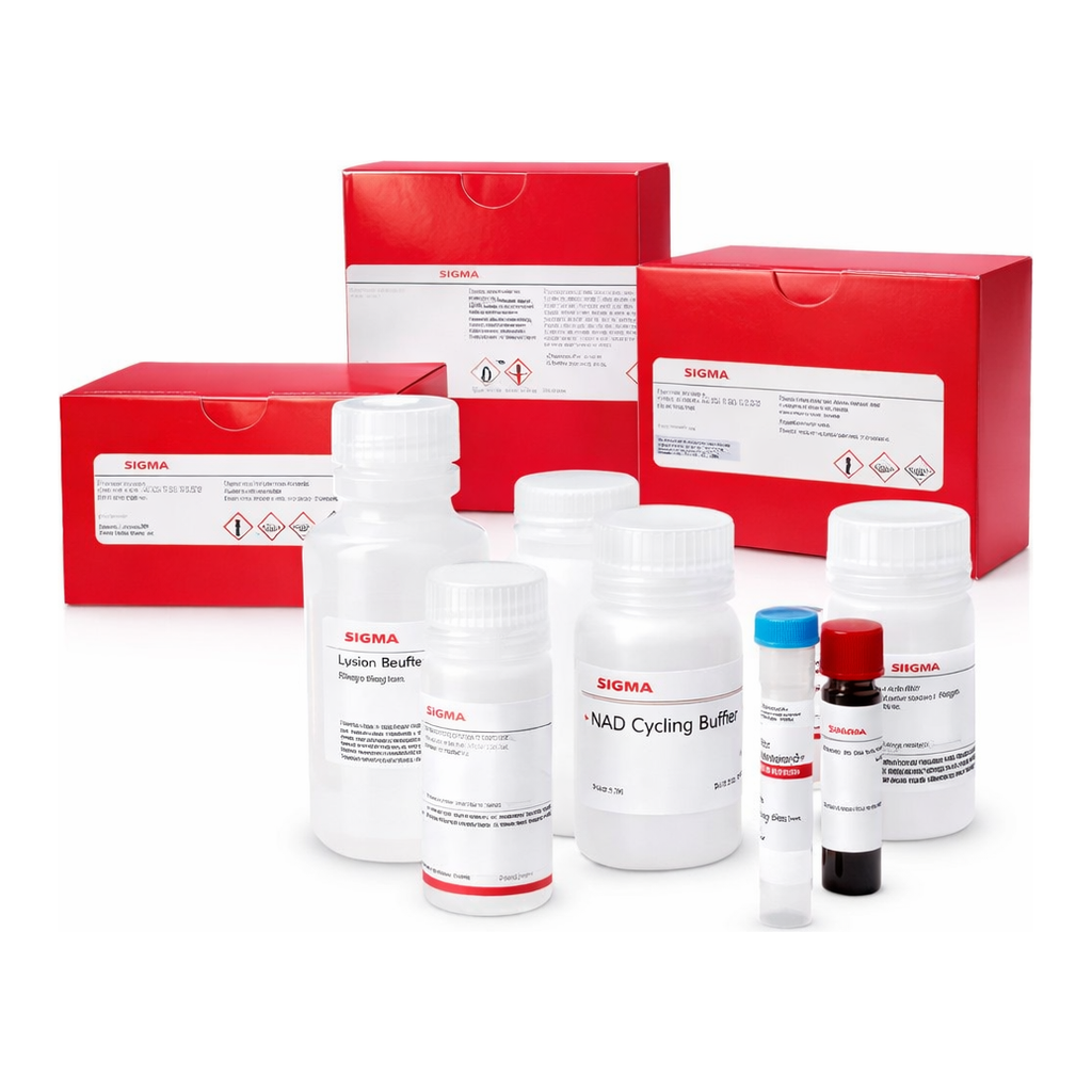 Merck CATHEPSIN B ACTIVITY ASSAY KIT