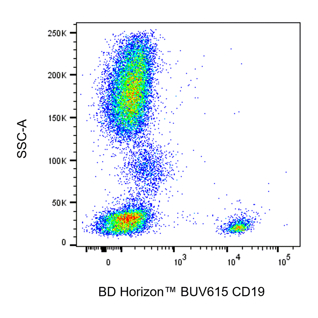BD BUV615 Mouse Anti-Human CD19
