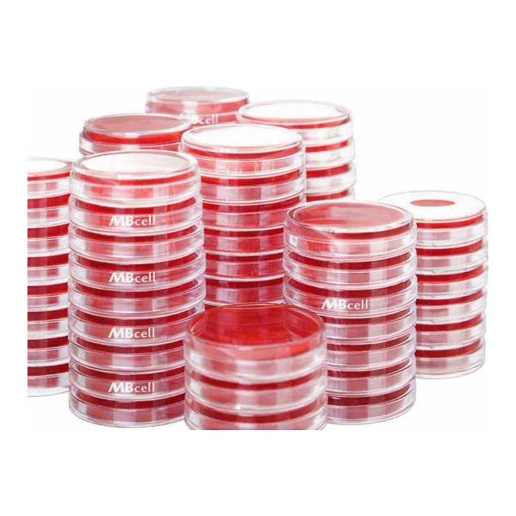 Kisanbio MBcell Blood Agar Base Plate / MB-B1005-P50