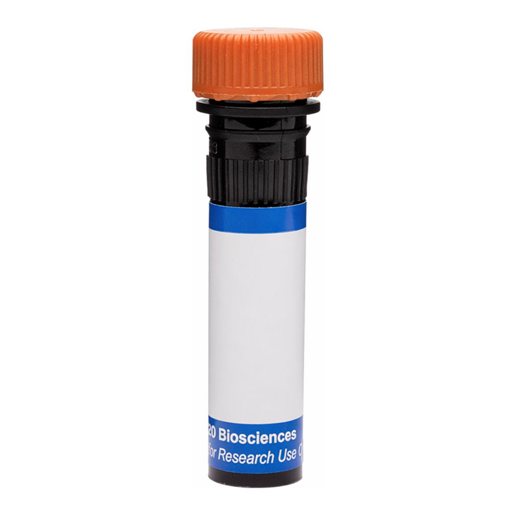 BD RB613 Rat Anti-Mouse Integrin β7