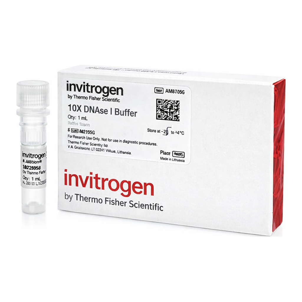 Thermo Fisher Scientific DNase I Buffer (10X)