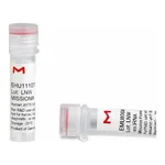 Merck MISSION(R) esiRNA