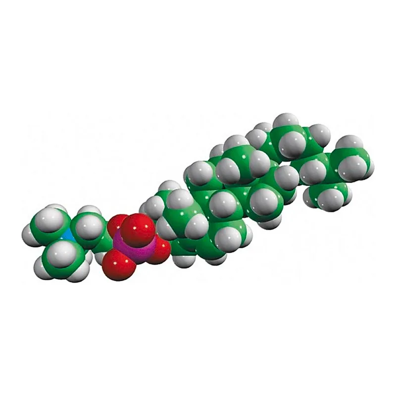Merck CholPC