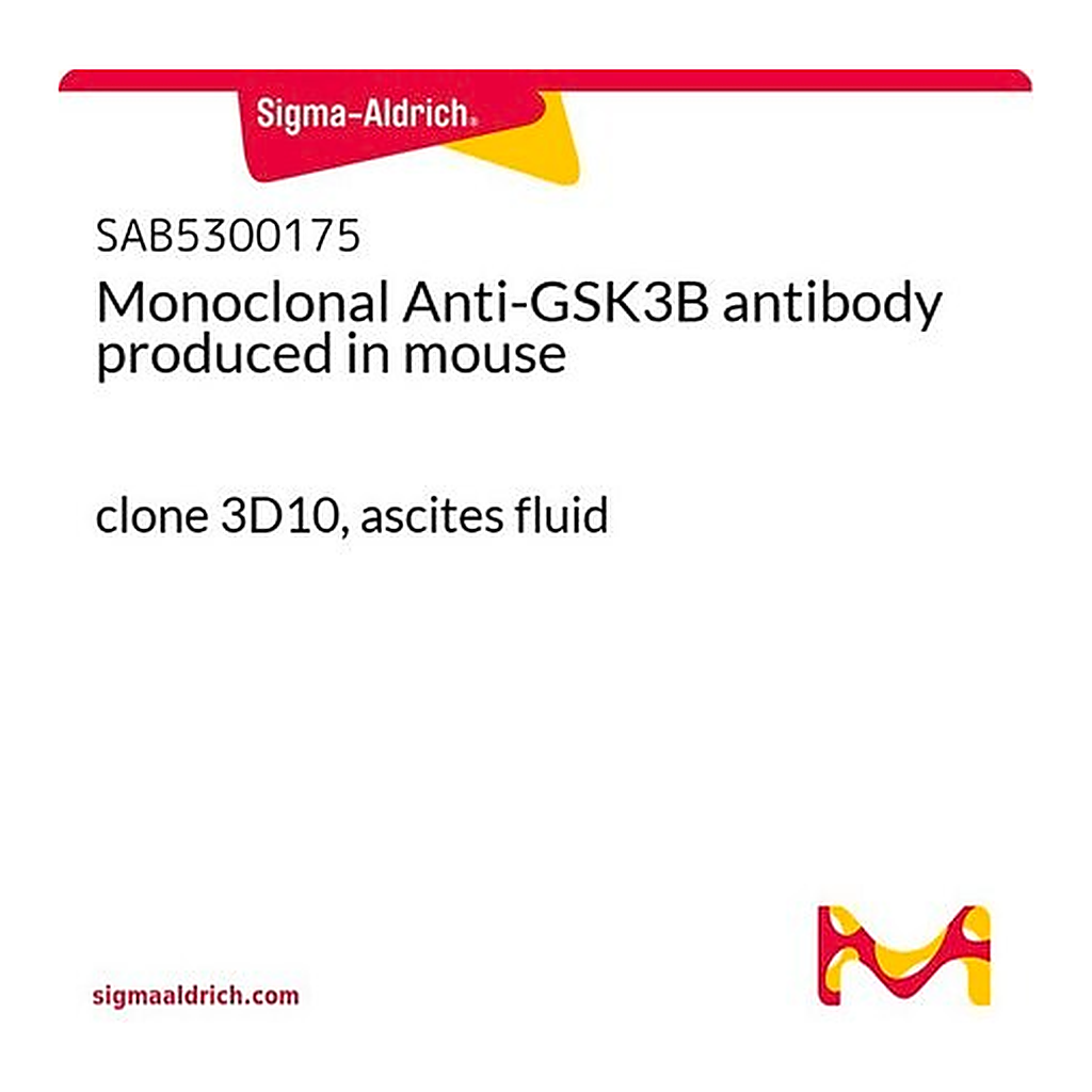 Merck Monoclonal Anti-GSK3B antibody produced in mouse