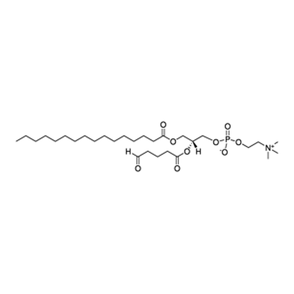 Merck POVPC