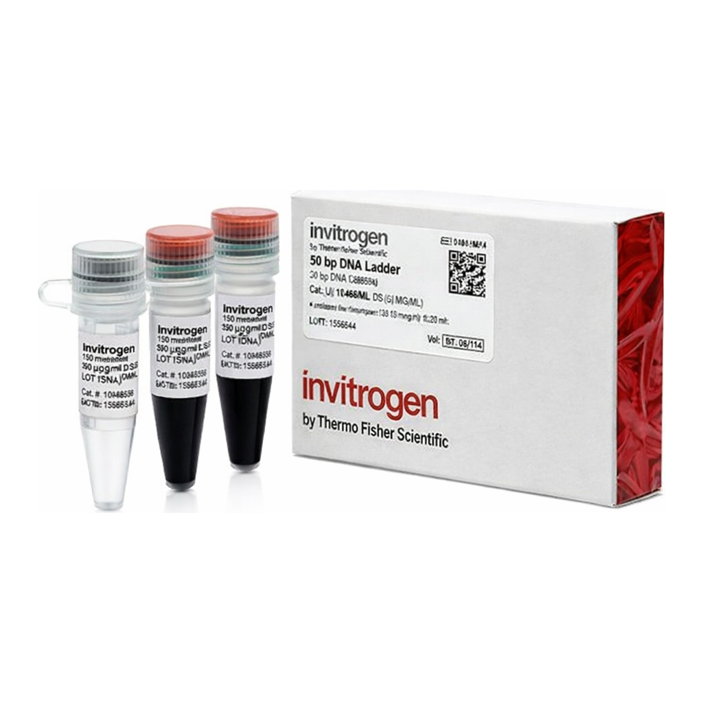 Thermo Fisher Scientific 50 bp DNA Ladder