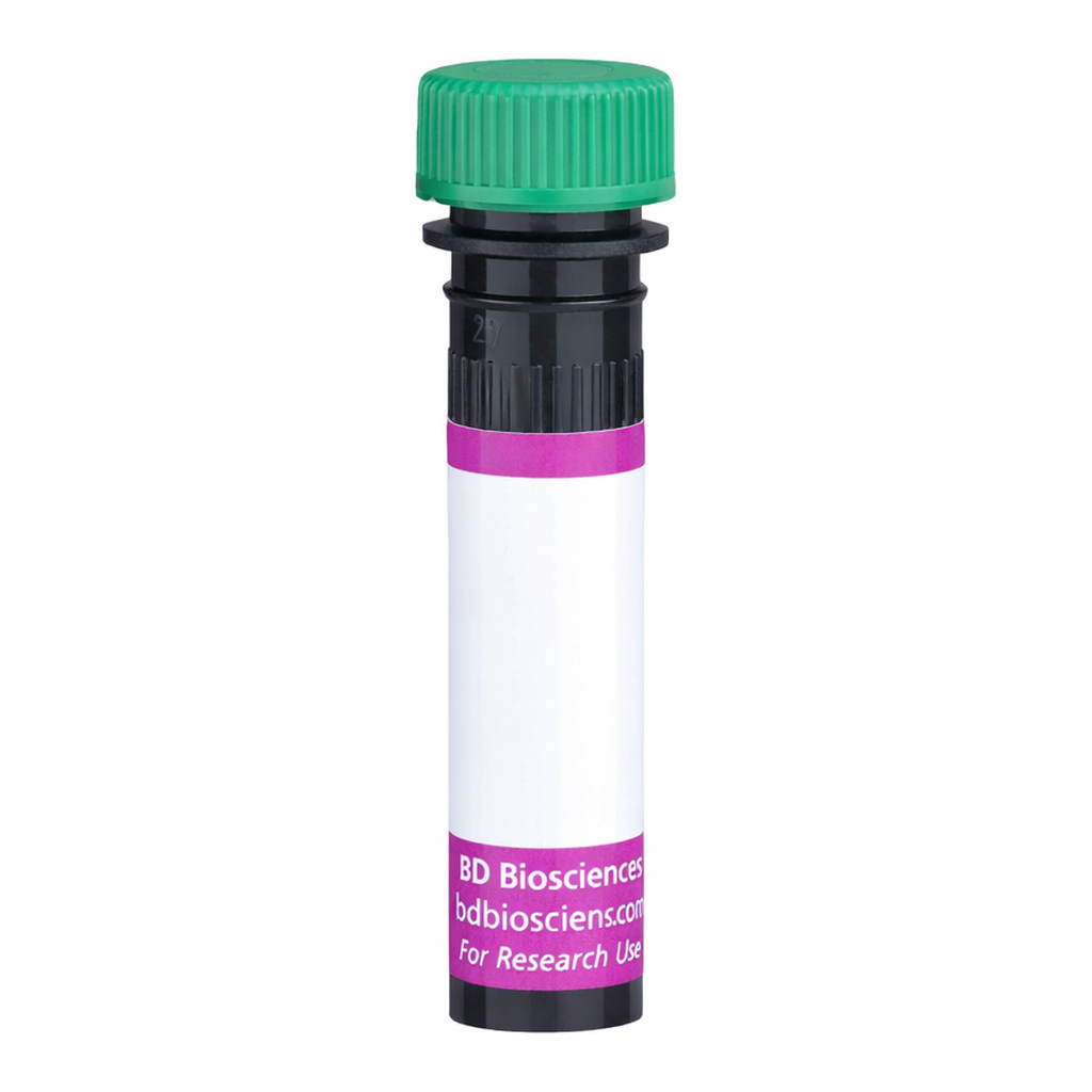 BD BV510 Mouse Anti-Human Ig, κ Light Chain