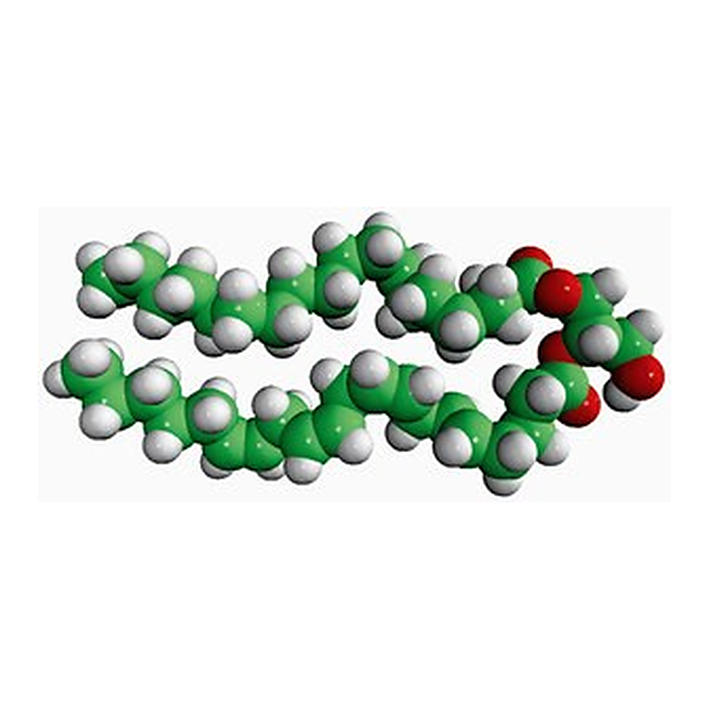 Merck 18:0-20:4 DG