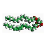 Merck 18:0-20:4 DG
