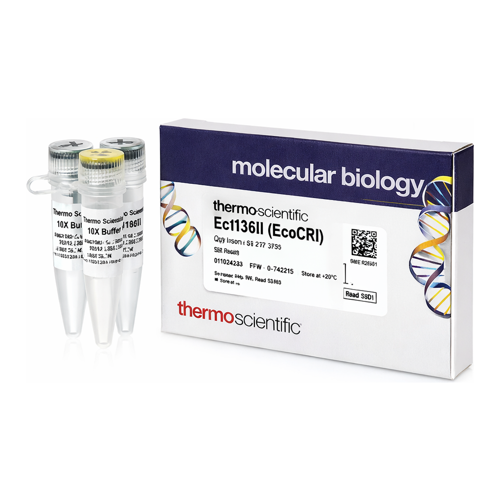 Thermo Fisher Scientific Ecl136II (EcoICRI) (10 U/&mu;L)