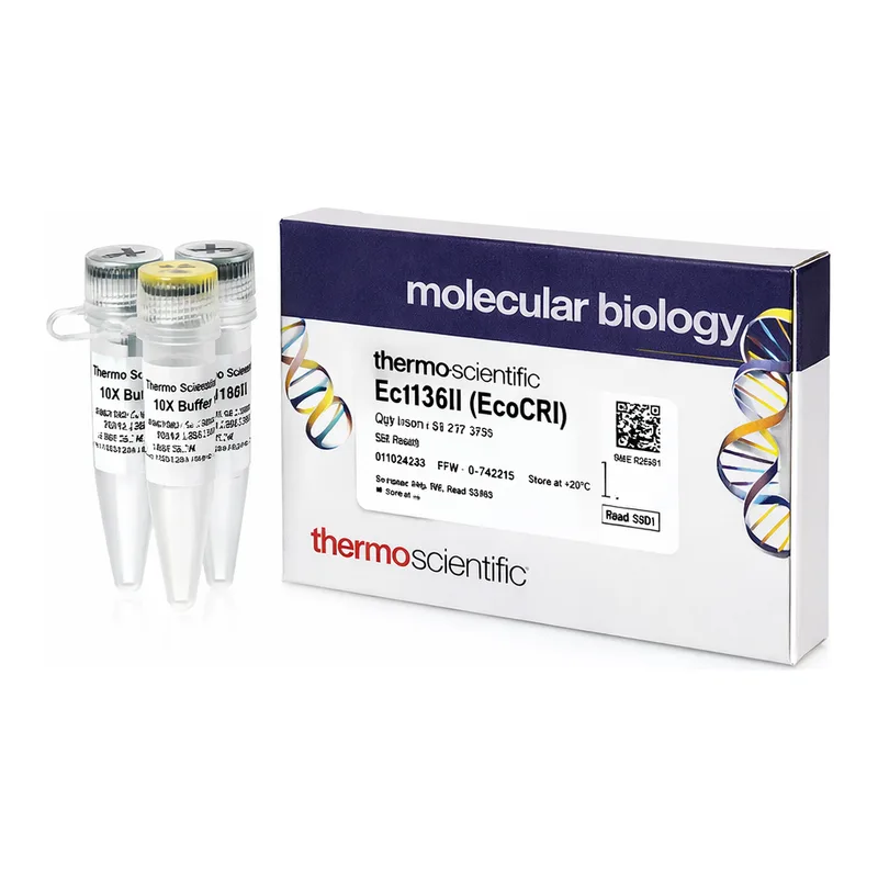 Thermo Fisher Scientific Ecl136II (EcoICRI) (10 U/μL)